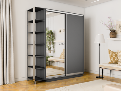 Шкаф-купе Дуо-Медиум-2 1200*600*2200