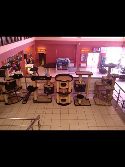 №161 Игровой комплекс "Мурзик"