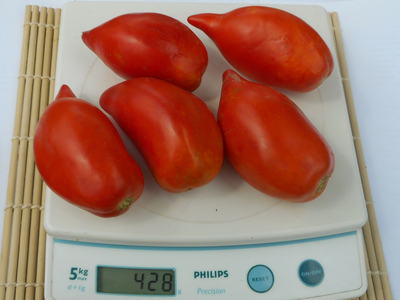 Томат Меч самурая