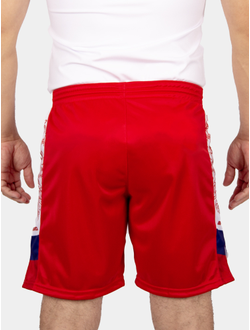 Шорты самбо BRAVEGARD ПОБЕДА красные