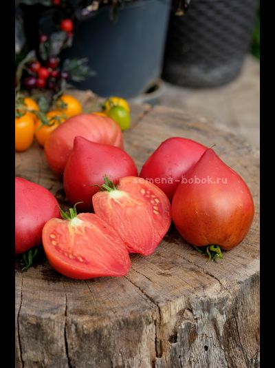 Томат Клубничный Сержант, 10 шт