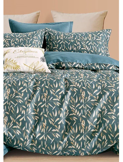 Постельное белье Cleo полутороспальное сатин 150х210х1 160х230х1 50х70х2 16/0097-SK