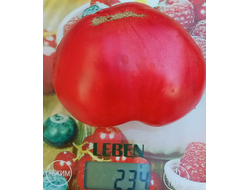 Томат Демидовские лапти
