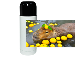 Термос Капибара, Kapibara-san №2