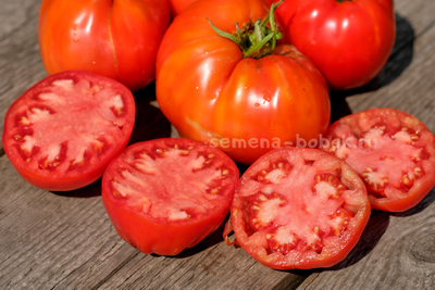Томат Катапано (Сatapano), 10 шт