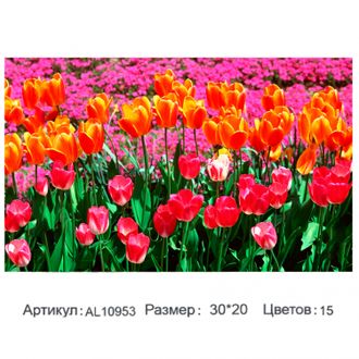 4680203222643  Алмазная мозаика Alingar,  &quot;Тюльпаны&quot; AL10953,  на подрамнике, с полным заполнением, (матов.) 20х30 см, 15 цветов.