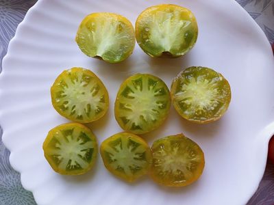 Томат Гном Эми из Огайо (Dwarf Amy’s Ohio)