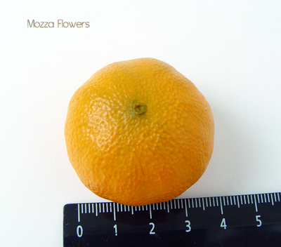 "Мандаринка" Силиконовый молд .