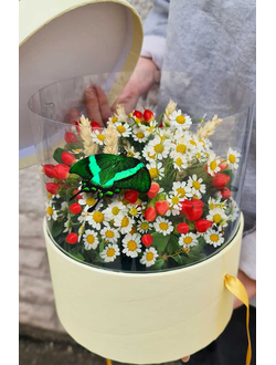 Ромашки с бабочками №92