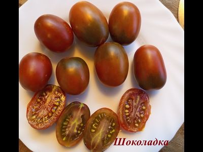 Томат Шоколадка