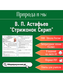 Рабочий лист. 4 класс. В. П. Астафьев "Стрижонок Скрип". Раздел "Природа и мы"
