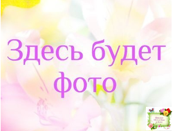 АВ-Мамина Радость (Фиалковод) 2022 г. (стартер)