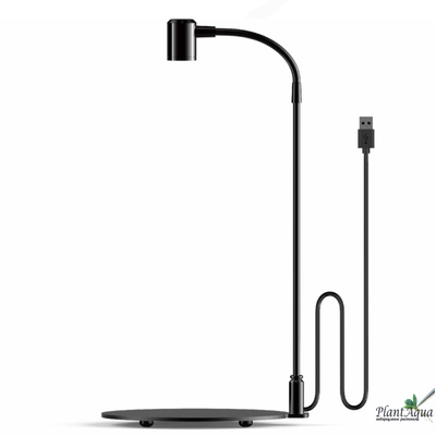 Лампа Biolark Ваби-Куса DX-03 для стеклянных чаш Bioloark Лудзи и Бабл