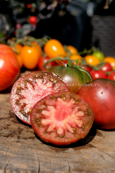 Томат Brandywine Black (Брендивайн Черный)