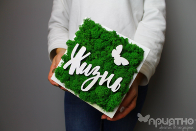 ЖИВАЯ ЭКО-КАРТИНА 1088