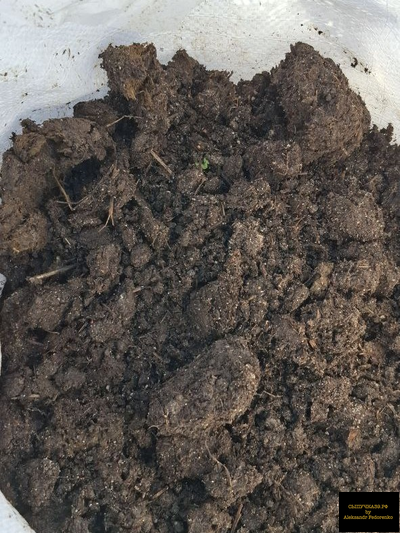 коровий навоз перегной