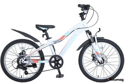 Велосипед TechTeam Katalina 20 белый