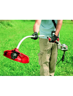 Сад и огород