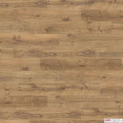 Декор ламината Haro Дуб Терана 535239 фронт