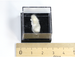 Окенит, Апофиллит, Ломонтит в пластиковом боксе, Крым, Трудолюбовка №22328