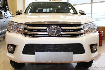 Решетка радиатора Premium (black)