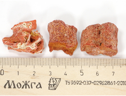 Коралл природный в ассортименте, Индонезия (20-23 мм, 3-4,5 г) №27527