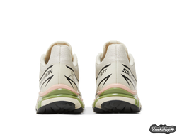 Salomon XТ-6 FT Peach Beige Мужские (40-45)