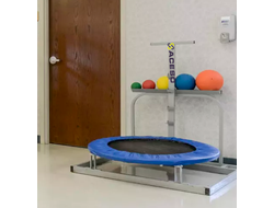 Батут-мишень реабилитационный стационарный для медболов