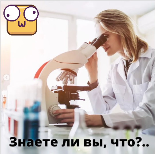 Ученые работают