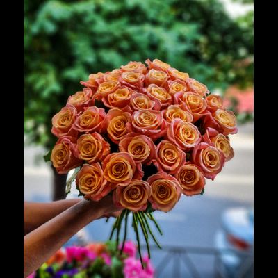 Роза Россия "Мисс пигги" 40 см 35 шт