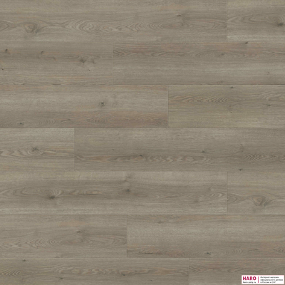 Декор ламината Haro Tritty 100 Campus Дуб Флавия Серый 544754 фронт