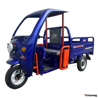 Пассажирский электротрицикл Maikaolin Груз-М