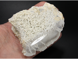 Халцедон виноградный, срез полированный, Россия, Северный Кавказ, КЧР, Усть-Джегутинский район (90*72*42 мм, 274 г) №27452