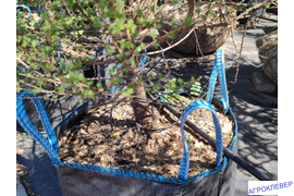 Полив капельницами