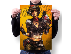Плакат Borderlands, Бордерленд №18