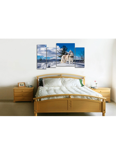 Модульная картина "Снежная лайка"