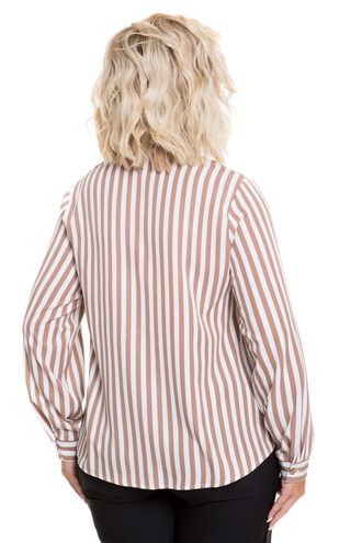 Блуза с отложным воротником НВ 1172 коричневые полоски