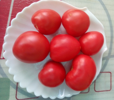 Томат Воловье сердце минусинское