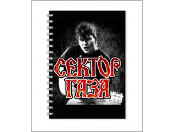 Тетрадь Сектор Газа, Юрий Хой №10