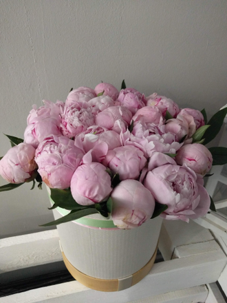 Cloud of peony Season от 9 шт.