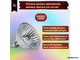 Osram Decostar Titan 46865 WFL 35w 36° 12v GU5.3