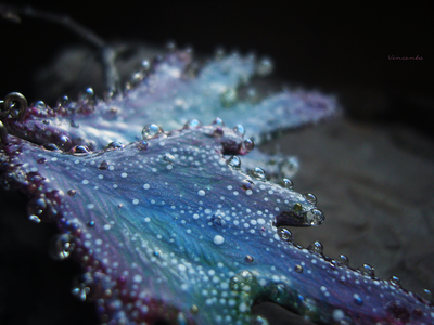 "Крылышки феи Рассветного сада", крупные серьги с капельками