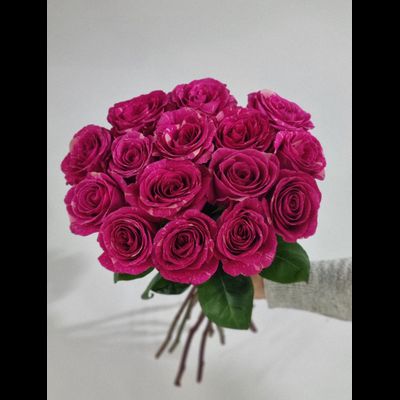 Роза Эквадор 60 см 15 шт