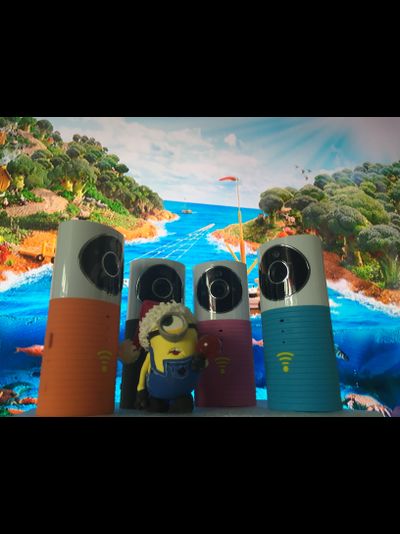 Видеоняня /WiFi видеокамера CleverDog с DVR