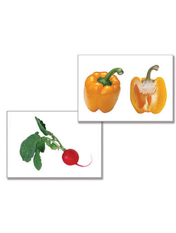 Дидактическое пособие "Овощи" (24 карт., А4, ламинир.)