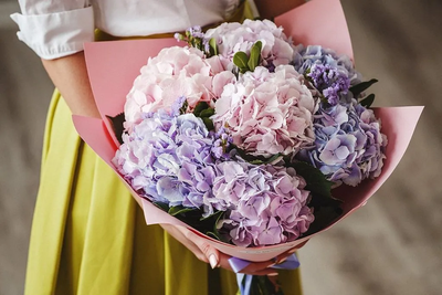 7 нежных гортензий