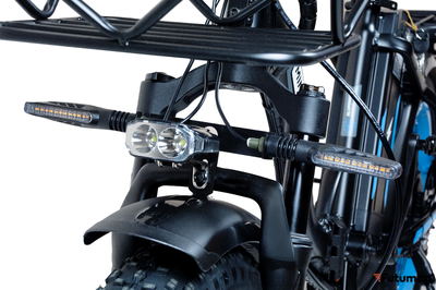 Электровелосипед Minako F10 PRO 20 (чёрный)