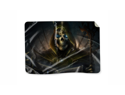 Плед Герои меча и магии, Heroes of Might and Magic №16