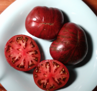 Семена томата Фестиваль Аделаиды Гном