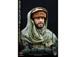 Боец DEVGRU AFO Neptune “Preacher” - Коллекционная ФИГУРА 1/6  (UD9046B) - UJINDOU